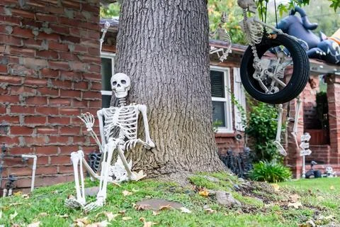 Funny Skeleton Decorations Hanging on Tree for Halloween Stock Photos