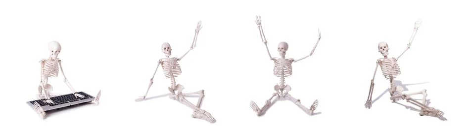 Funny Skeleton working on computer Stock Photos