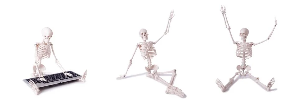 Funny Skeleton working on computer Stock Photos