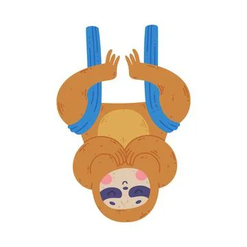 Funny Sloth Animal Practicing Yoga Asana Hanging Upside Down Vector Illustration Stock Illustration