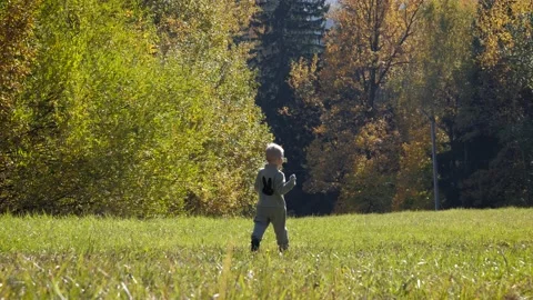 Funny Small Child Runs Down Slide On Green Field On Autumn Sunny Day Stock Footage 167825052