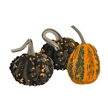 Funny small decorative pimpled pumpkin composition isolated on white. Pimply  Stock Illustration