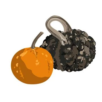 Funny small decorative pimpled pumpkin composition isolated on white. Pimply  Stock Illustration