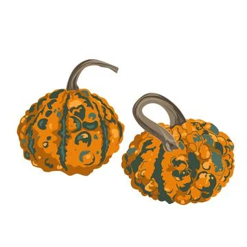 Funny small decorative pimpled pumpkin composition isolated on white. Pimpl.. Stock Illustration