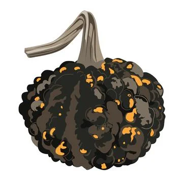 Funny small decorative pimpled pumpkin illustration isolated on white. Pimp.. Stock Illustration