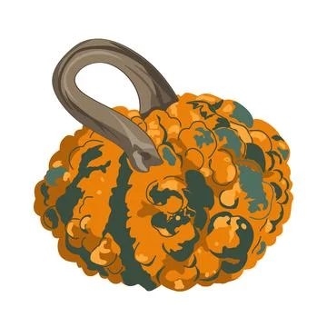 Funny small decorative pimpled pumpkin illustration isolated on white. Pimply Stock Illustration