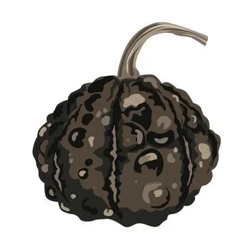 Funny small decorative pimpled pumpkin illustration isolated on white. Pimply Stock Illustration
