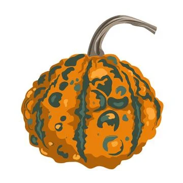 Funny small decorative pimpled pumpkin illustration isolated on white. Pimp.. Stock Illustration