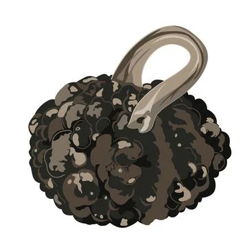 Funny small decorative pimpled pumpkin illustration isolated on white. Pimp.. Stock Illustration