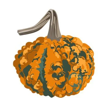 Funny small decorative pimpled pumpkin illustration isolated on white. Pimp.. Stock Illustration