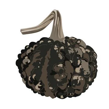 Funny small decorative pimpled pumpkin illustration isolated on white. Pimp.. Stock Illustration