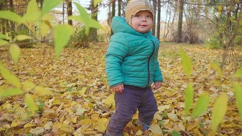 Funny smiling 1 year old boy in the autumn Park at the Sunset . Happy Childhood Video stock 88665505