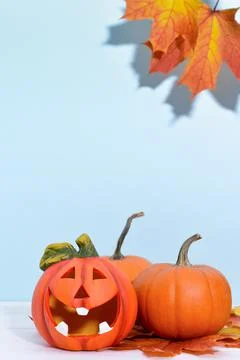 Funny smiling pumpkin lantern in front of ripe orange pumpkins on a blue Stock Photos