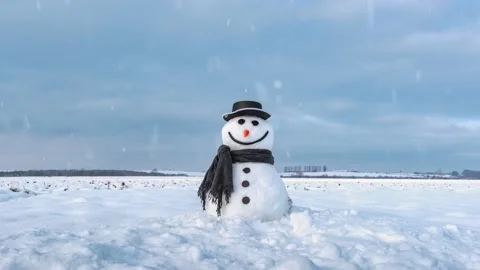 Funny snowman in black hat Stock Footage 144573269