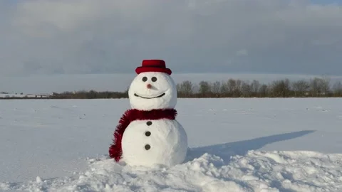 Funny snowman in black hat Video stock 146671261
