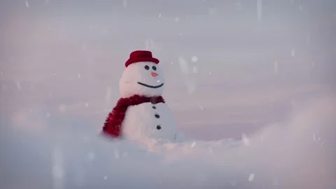 Funny snowman in black hat Stock Footage 146671262