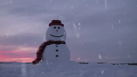 Funny snowman in black hat Video stock 146671287