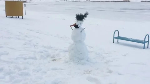 Funny snowman with mask 動画素材 169571788