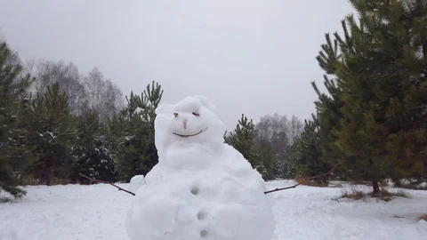 Funny snowman in the park in winter Stock-Footage 123967367