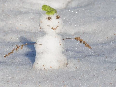 Funny snowman Stock Photos