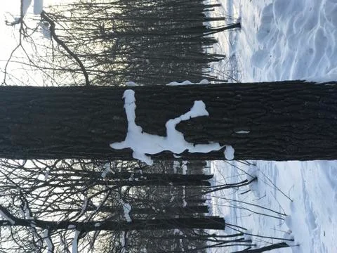 Funny snowman on the tree trunk Stock-Fotos