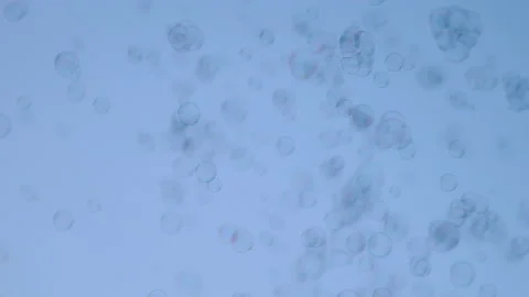 Funny soap bubbles flutter on a blue background Видео 137174741