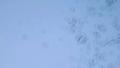 Funny soap bubbles flutter on a blue background Stockbeeldmateriaal 137174990