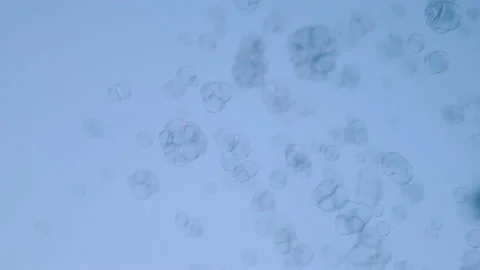 Funny soap bubbles flutter on a blue background Stockbeeldmateriaal 137175396