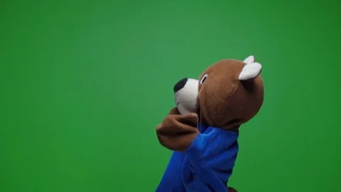 Funny soft bear doll on green background, hand with plushie glove puppet toys at Stock Footage 124577028