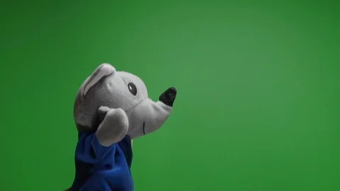 Funny soft wolf doll on green background, hand with plushie glove puppet toys at Stock Footage 124577913