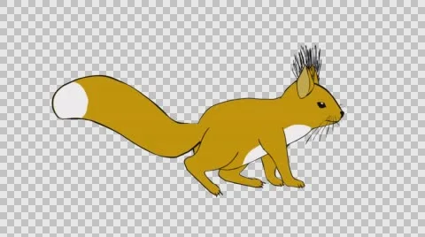 Funny squirrel walking. Alpha channel. Seamless loop Stock Footage 65112732