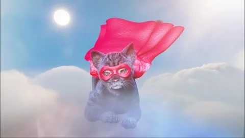 Funny superhero cat in a red cape and a superhero mask Video stock 278101190