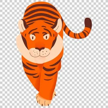 Funny tiger character walking forward on gray background. Ilustração Stock