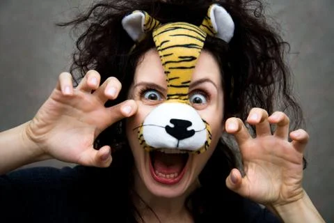 Funny tiger Stock Photos