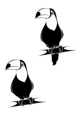 Funny toucan イラスト素材