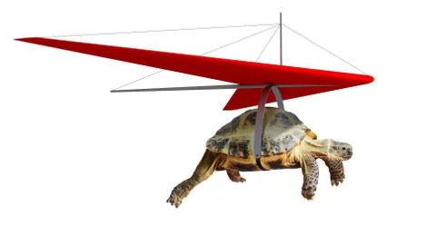 Funny turtle flying on hang-glider Stock Photos