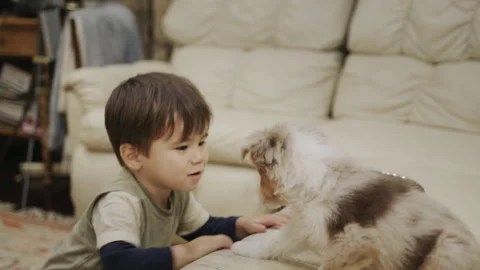 Funny two-year-old boy feeding a puppy Stockbeeldmateriaal 249686131