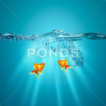 Funny underwater backgrounds for your design Stock Illustration