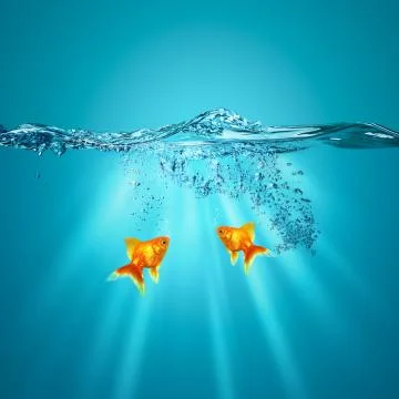 Funny underwater backgrounds for your design Stockillustratie
