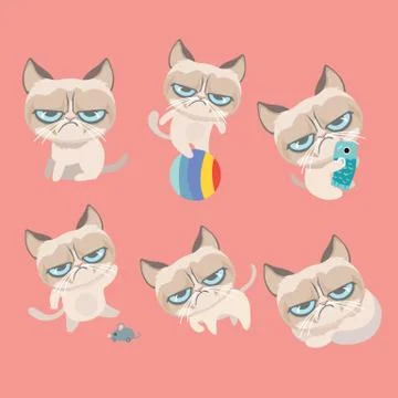 Funny vector set of grumpy cat.. Illustrazione stock