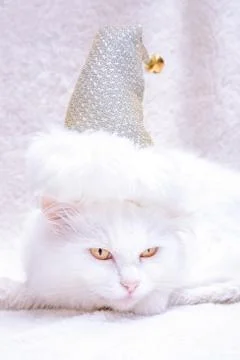 Funny white cat in a new year's silver cap on white artificial fur - vertica Stock Photos