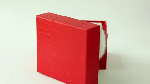 Funny, white hamster opens a red, gift box. Christmas, gift, surprise Stock Footage 253605914