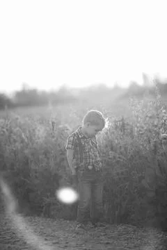 A funny young boy with eye misalignment, smiling and giggling in a sunset-lit Foto stock