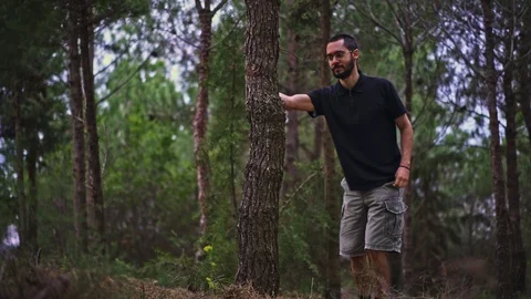 Funny Young Man magically disappears behind a tree in the forest Stock Footage 89984352