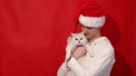 Funny young man in Santa's cap holds a cute British cat on a red background Stock Footage 166736550