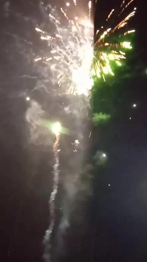 Fuochi D'artificio Video stock 320406511