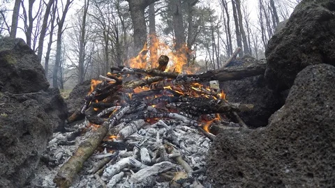 FUOCO in Campeggio 库存影片 91097590