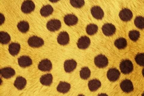 Fur animal textures, cheetah Stock Illustration
