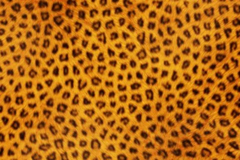 Fur animal textures, leopard Stock Illustration