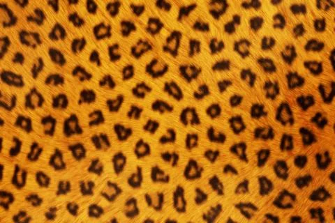 Fur animal textures, leopard Illustrazione stock